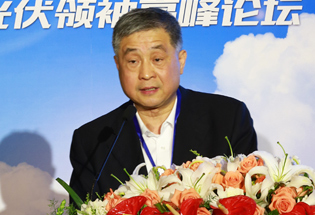 中國光伏協會秘書長王勃華致辭