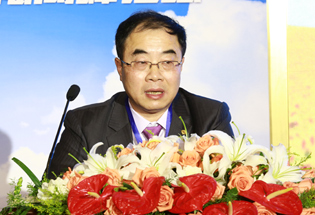 協鑫新能源副總裁徐陽主旨演講