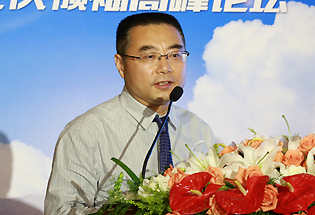 中國電力科學院新能源研究所副所長丁杰發表主題演講