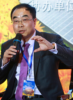協鑫新能源控股有限公司副總裁徐陽