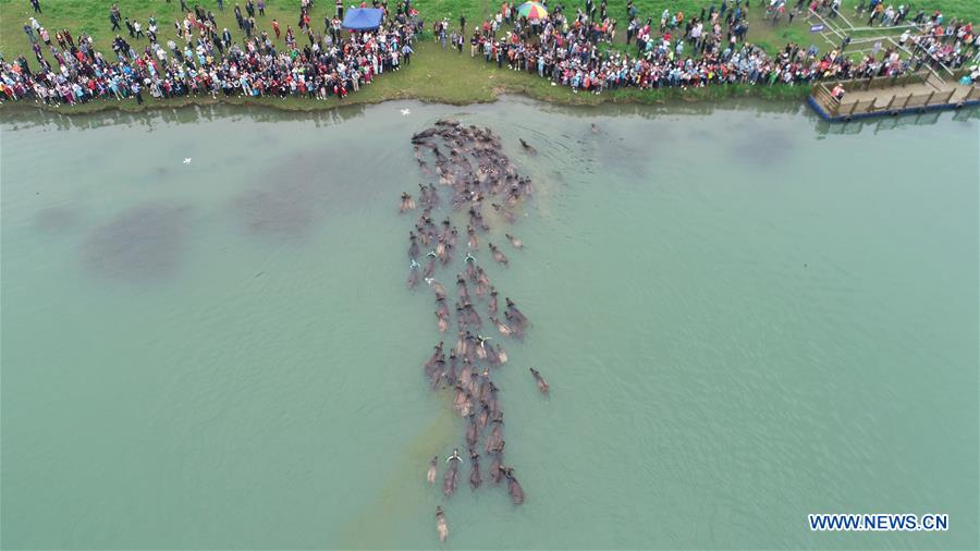 XINHUA PHOTO WEEKLY CHOICES (CN)