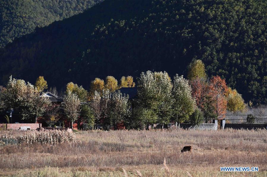CHINA-YUNNAN-LUGU LAKE-SCENERY (CN)