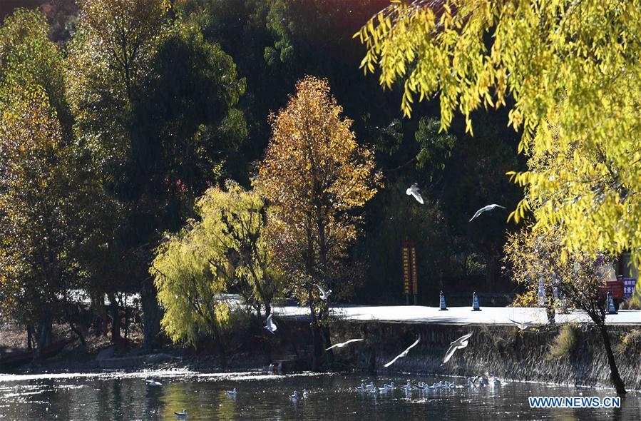 CHINA-YUNNAN-LUGU LAKE-SCENERY (CN)