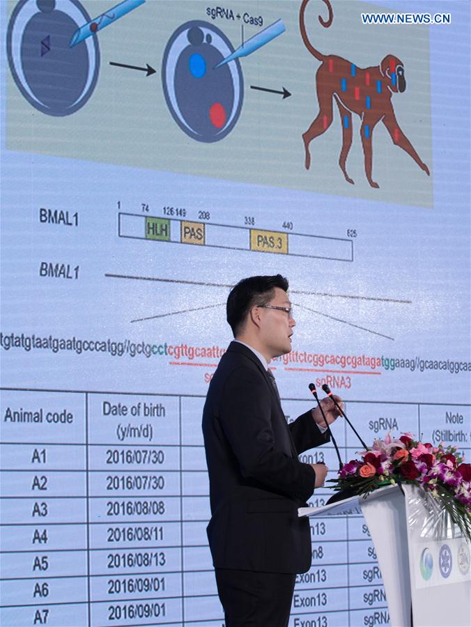 CHINA-SHANGHAI-GENE-EDITED MONKEYS (CN)