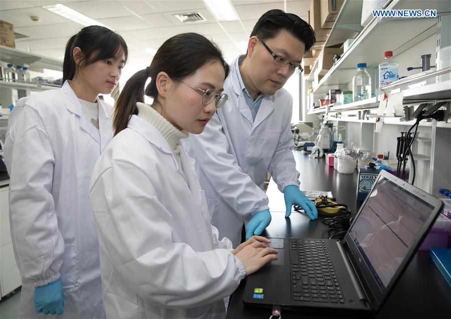 CHINA-SHANGHAI-GENE-EDITED MONKEYS (CN)