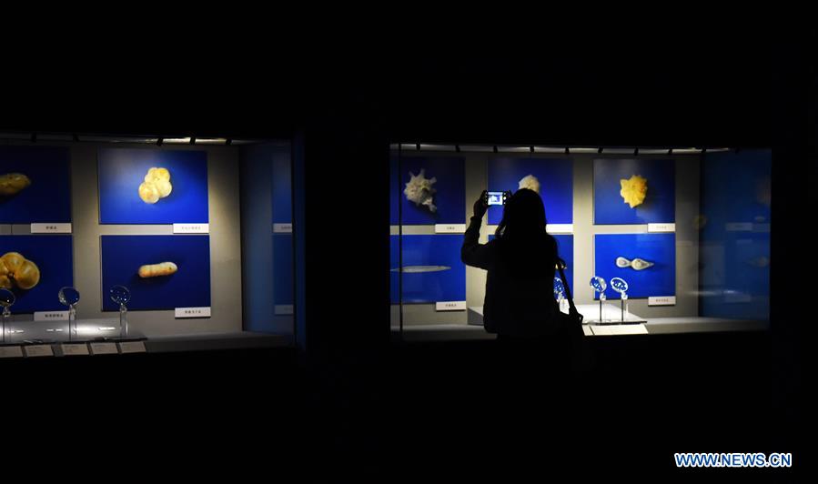 CHINA-SHANDONG-SPRING FESTIVAL-MUSEUM (CN)