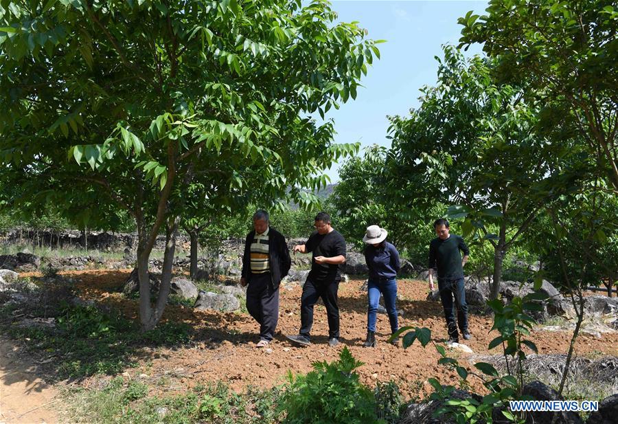 CHINA-YUNNAN-XICHOU COUNTY-POVERTY ALLEVIATION (CN)