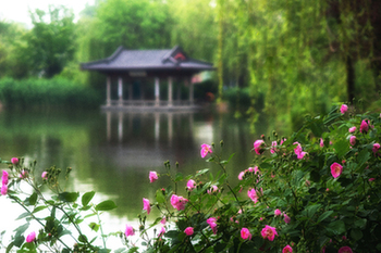 【“疫”后花開 邁向詩和遠方】天下第一泉景區:泉湖河城匯大美
