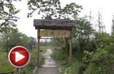 讓夢想照進濕地