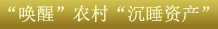 關鍵字3:“喚醒”農村“沉睡資產”