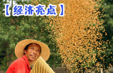 夏糧豐收 經濟亮點提振信心