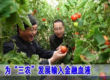 為“三農”發展輸入金融血液