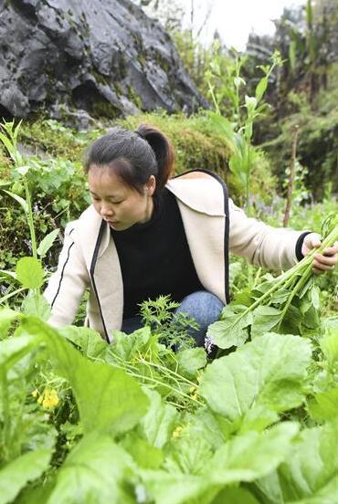 犟媳婦深山扎根記