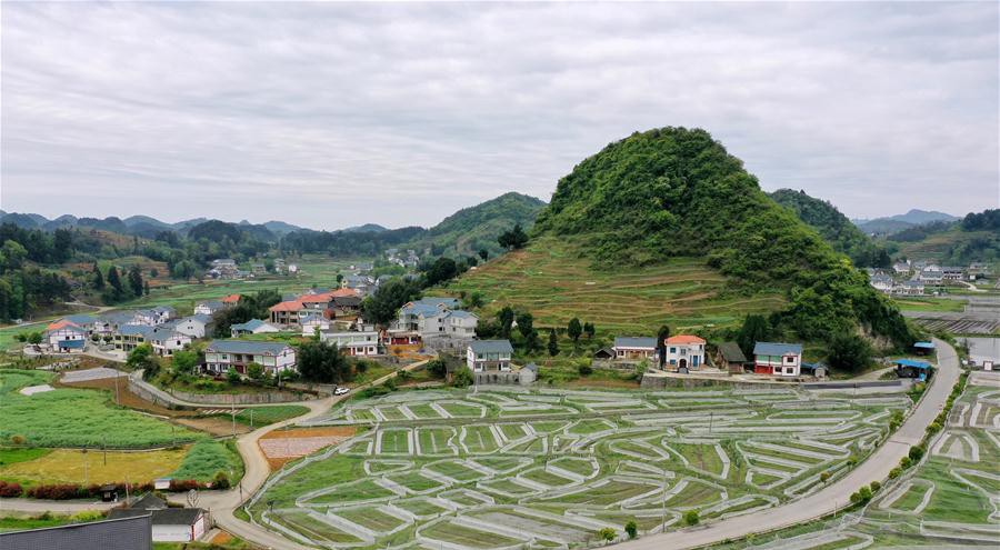 黔北農村面貌新