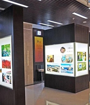 仲景宛西制藥蟬聯2020河南民營企業100強