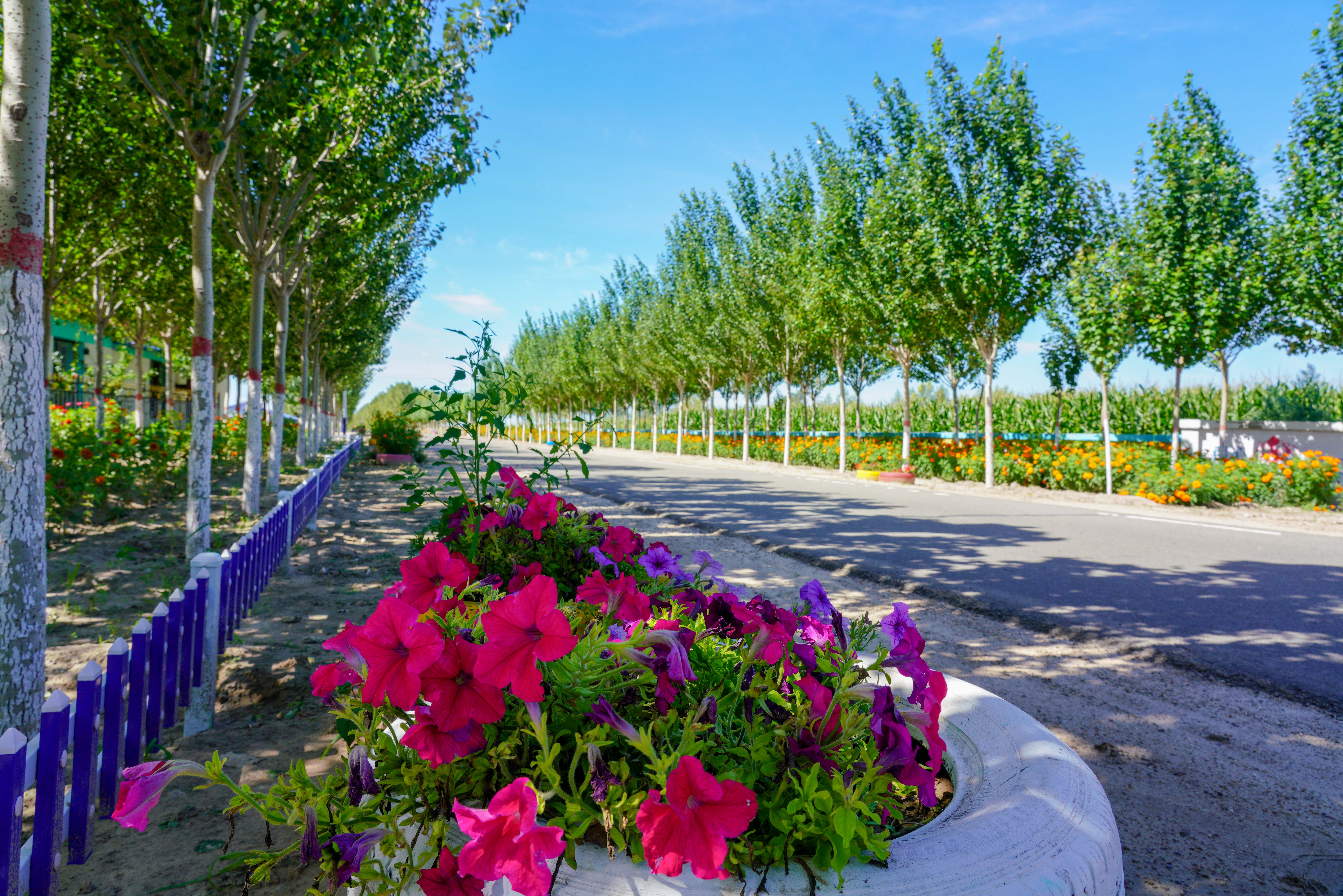 【聚焦脫貧攻堅】下一站的幸福