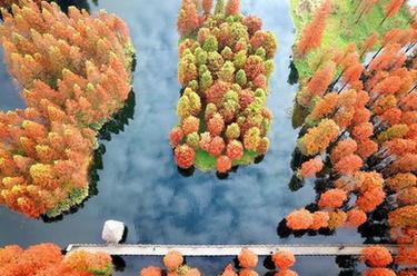 上海:冬日暖景