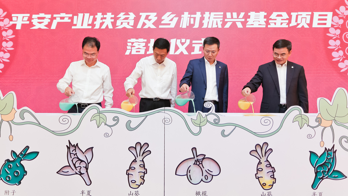 探索扶貧長效機制，助力涼山鄉村振興