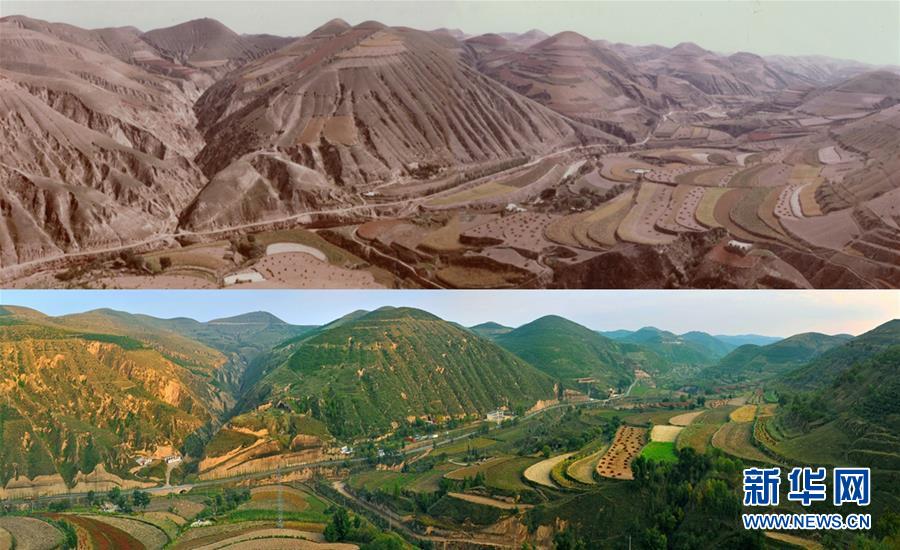 (新時代新氣象新作為·圖文互動)(1)“黃土地”刷出“新顏值”:延安兩千萬畝“林海”誕生記