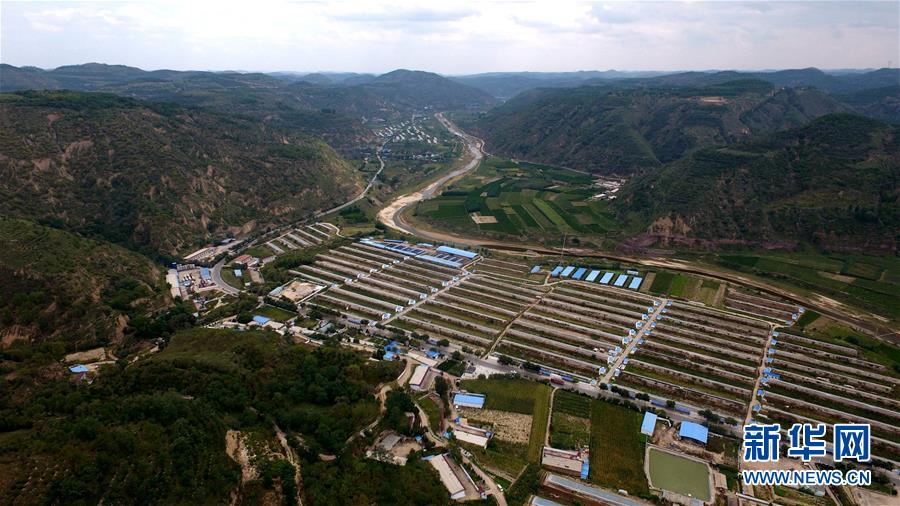 (新時代新氣象新作為·圖文互動)(2)“黃土地”刷出“新顏值”:延安兩千萬畝“林海”誕生記