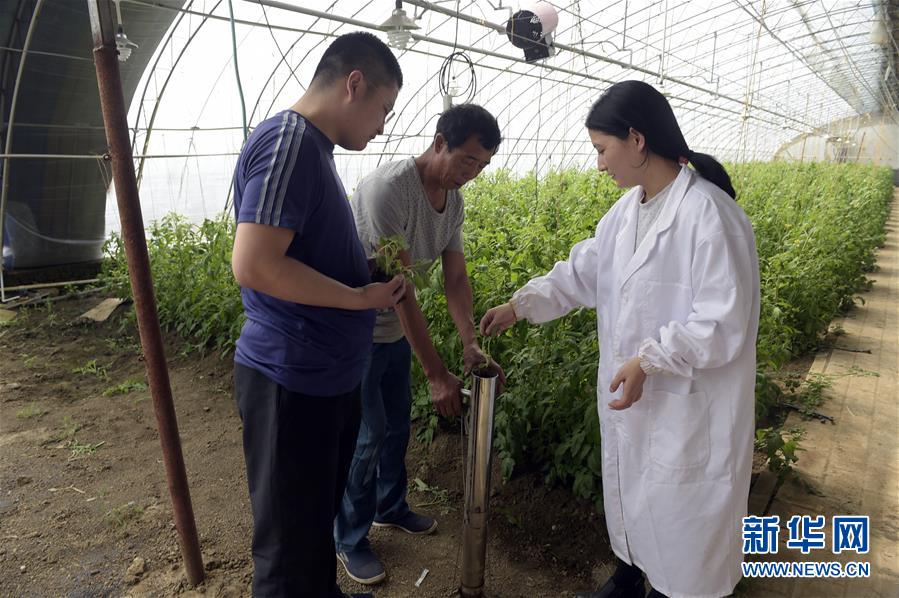 (經濟)(1)推廣農業科技助推鄉村振興