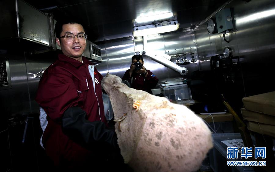 (圖文互動)(6)“科學”號在麥哲倫海山展開綜合調查