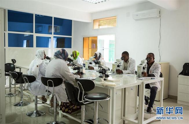 (新華全媒頭條·世界防治瘧疾日·圖文互動)(2)“月亮之國”的驅魔人——記非洲抗瘧戰場上的廣東團隊