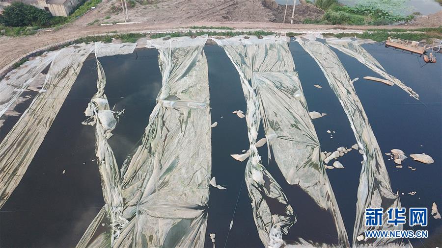 (新華視點·圖文互動)(4)中央督察兩年有的絲毫未改,有的不減反增——江蘇泰興數萬噸化工廢料和污泥堆放長江邊調查