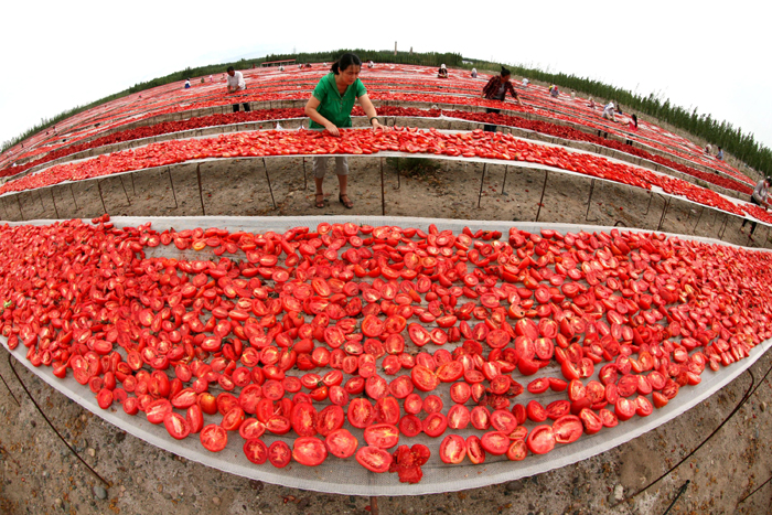 秋收的中國，你想象不到的美！但更美的是……
