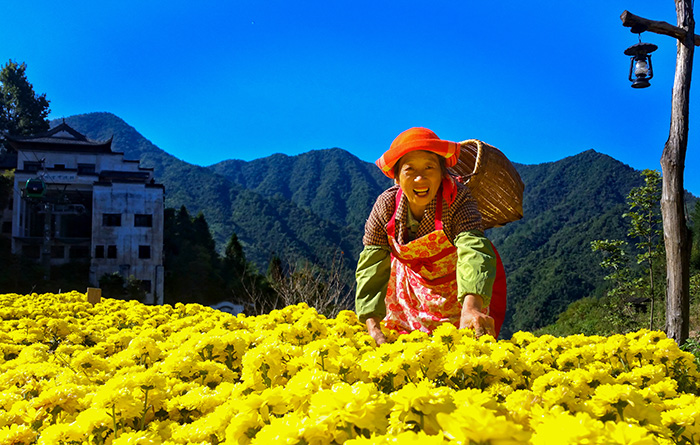 秋收的中國，你想象不到的美！但更美的是……