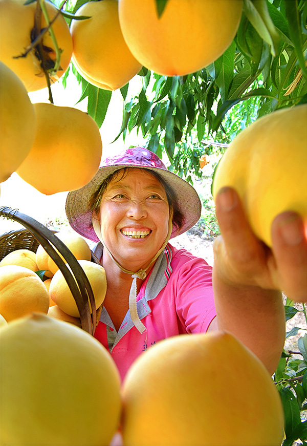 秋收的中國，你想象不到的美！但更美的是……