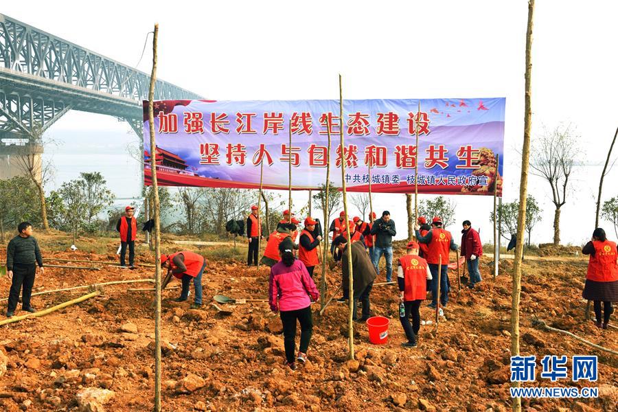 （在習近平新時代中國特色社會主義思想指引下——新時代新作為新篇章·圖文互動）（2）湖北枝城鎮：片區黨建助推鄉村全面振興