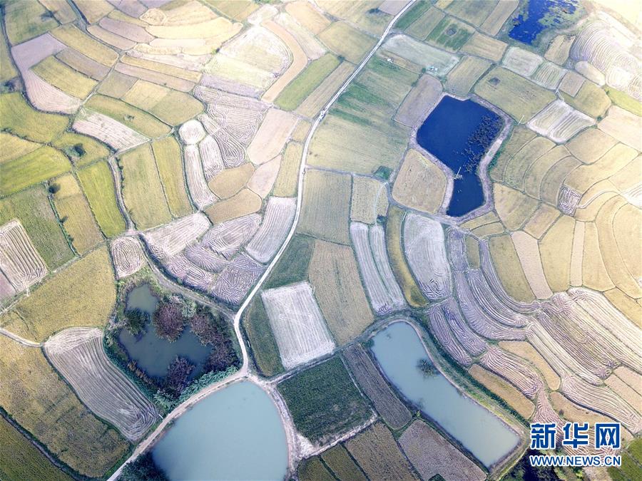 (新華全媒頭條·壯闊東方潮 奮進新時代——慶祝改革開放40年·圖文互動)(2)小崗,與時代同行——“中國農村改革第一村”40年變遷的改革啟示