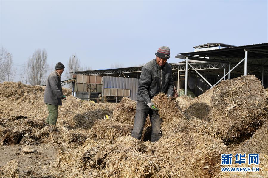 (在習近平新時代中國特色社會主義思想指引下——新時代新氣象新作為·鄉村振興戰略·圖文互動)(2)“與其放火,不如打包”——山西渾源秸稈綜合再利用見聞