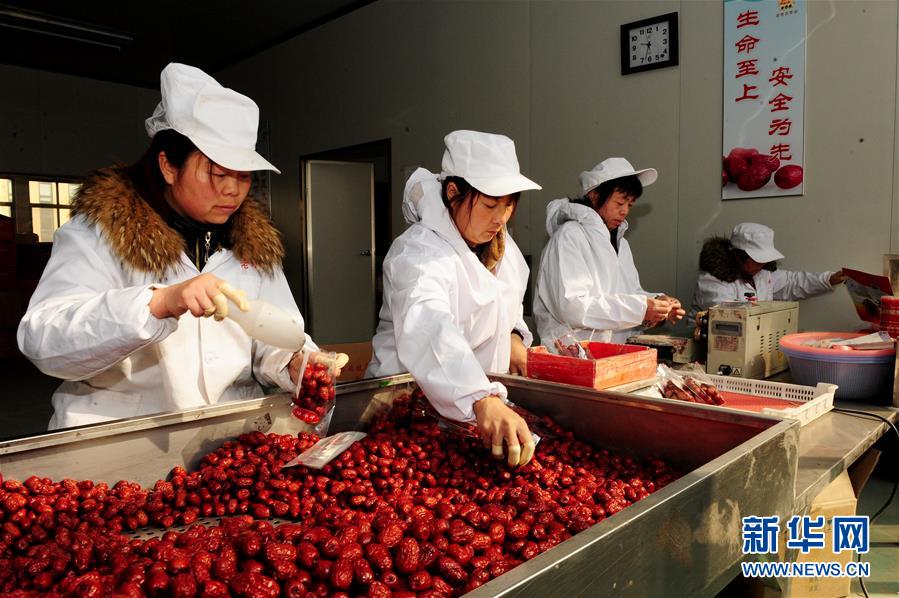 (來自一線的調查報告·圖文互動)(2)從“填飽肚子”到“過好日子”——改革開放40年河南農業三重“蝶變記”