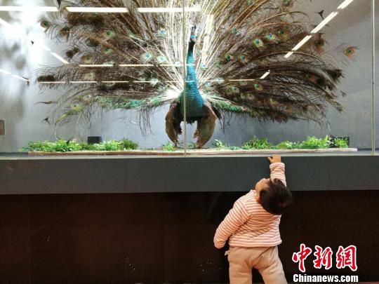 圖為展覽現場。 胡遠航 攝