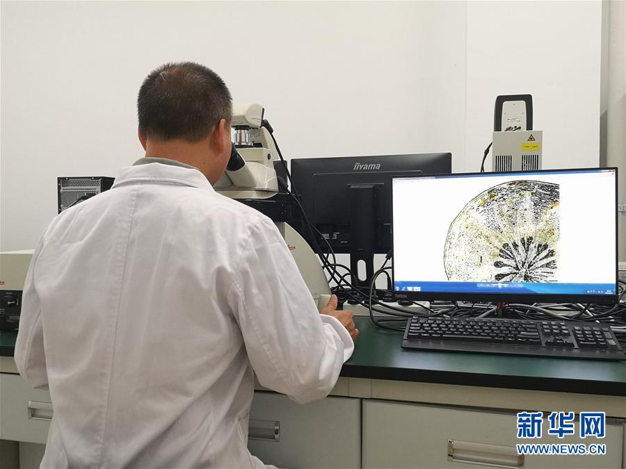 (新華調查·新中國考古重大發現·圖文互動)(5)海昏侯:不僅僅是“黃金大墓”