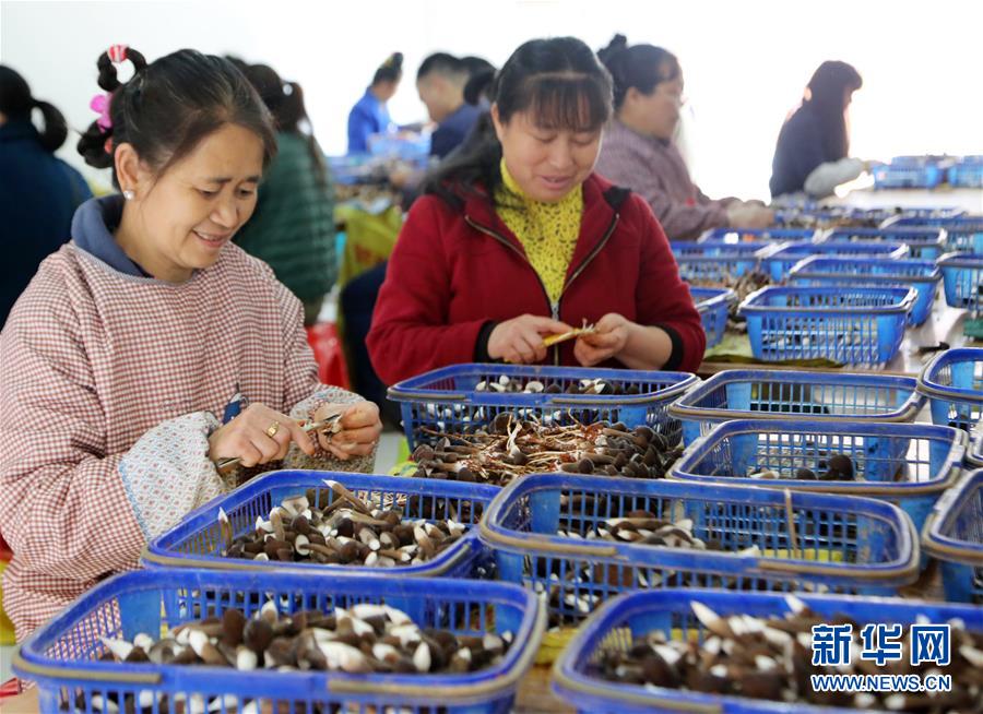 (新華全媒頭條·自信中國·70年啟示錄·圖文互動)(6)初心不改為人民——從壯闊70年看中國情懷