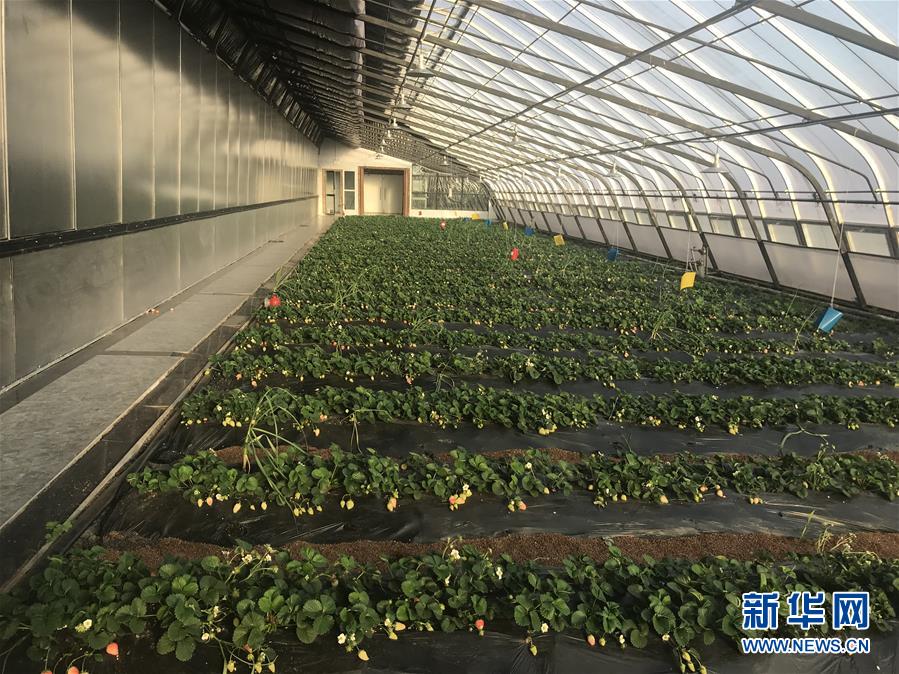 （圖文互動）（2）產業變綠 石墨變金 環境變美——“煤城”三變孕育春的生機