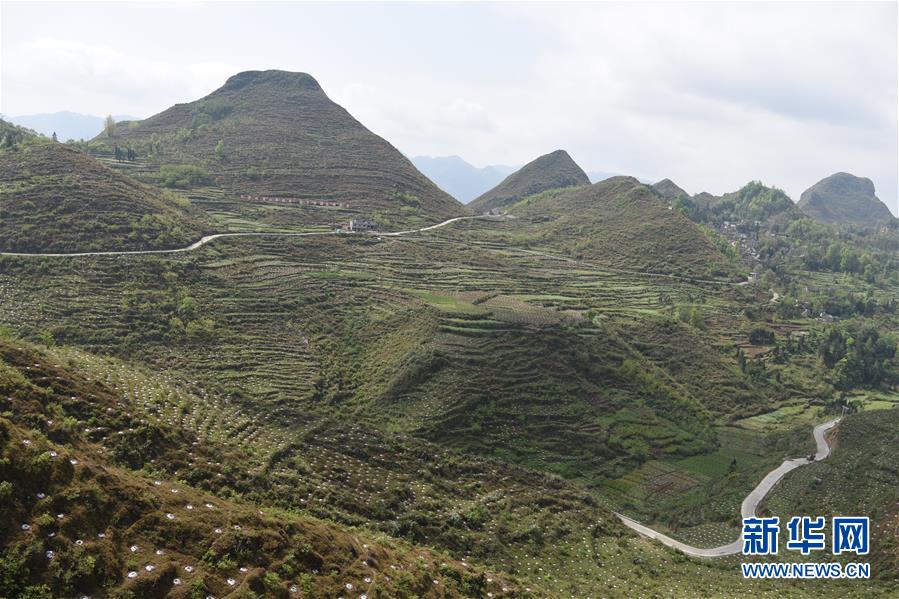 (決戰決勝脫貧攻堅·圖文互動)(1)逐項逐戶排查補齊脫貧攻堅“短板”——貴州晴隆縣扶貧一線工作見聞