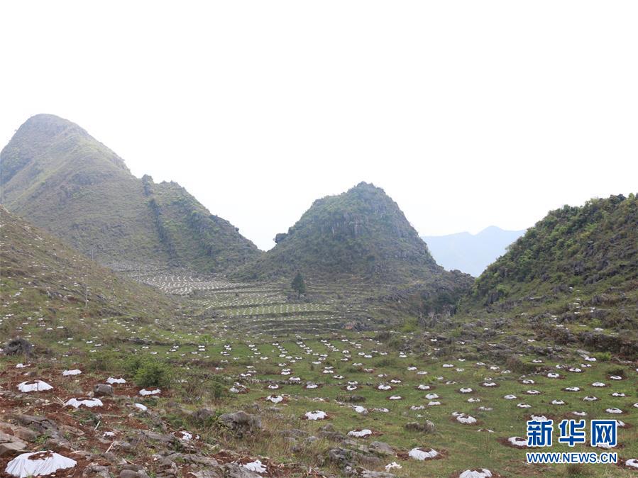 (決戰決勝脫貧攻堅·圖文互動)(4)逐項逐戶排查補齊脫貧攻堅“短板”——貴州晴隆縣扶貧一線工作見聞