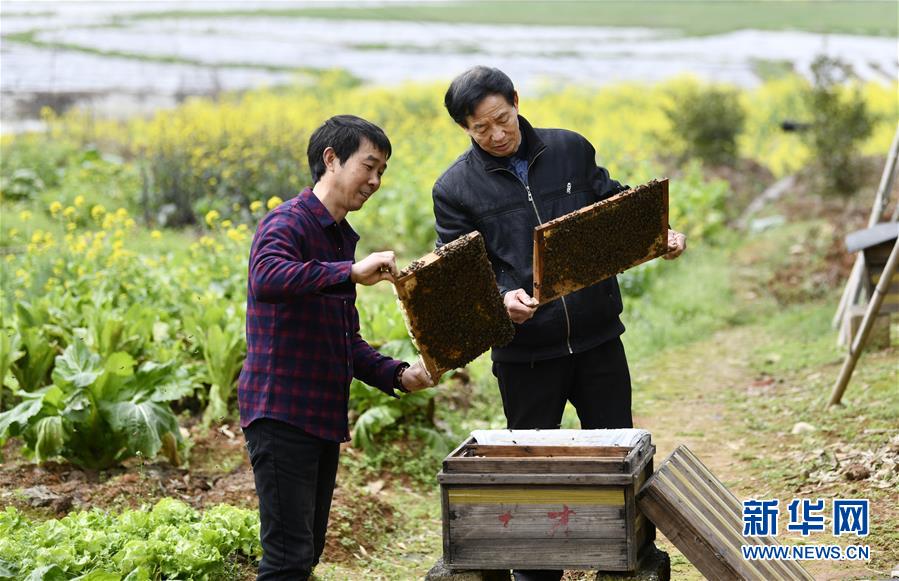 (決戰決勝脫貧攻堅·圖文互動)(2)一位農民的產業扶貧成績單