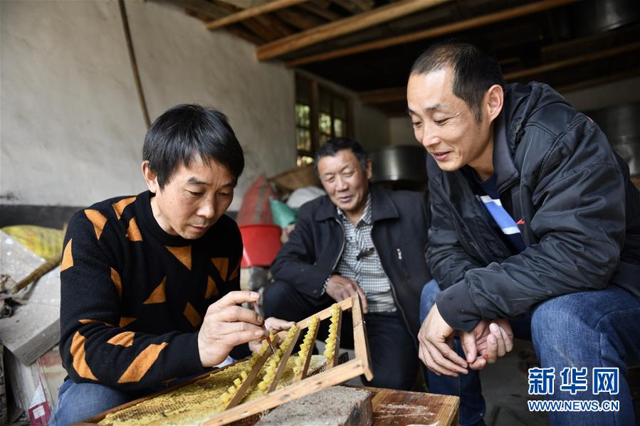 (決戰決勝脫貧攻堅·圖文互動)(3)一位農民的產業扶貧成績單