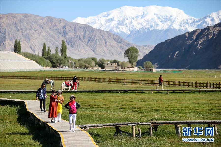 （新華全媒頭條·圖文互動）（15）飛吧，“帕米爾雄鷹”！