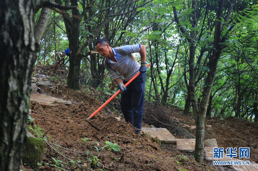 (決戰決勝脫貧攻堅·圖文互動)(2)問林下要地 助“新市民”就業增收