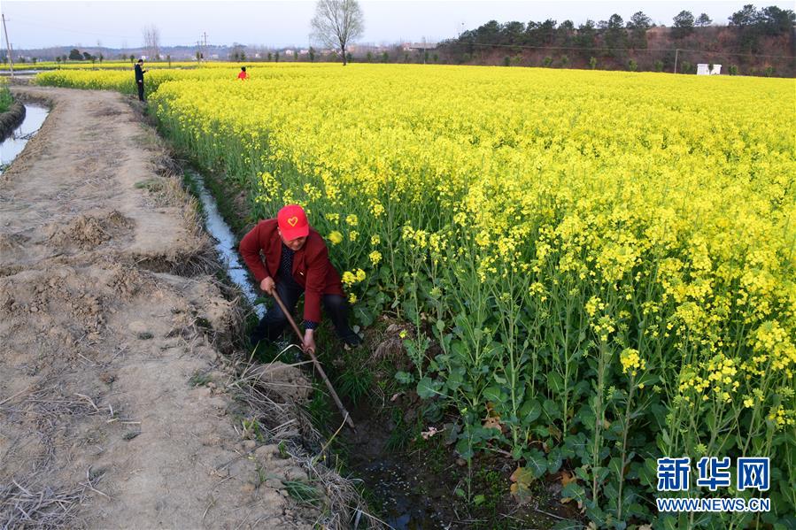 (決戰決勝脫貧攻堅·圖文互動)(6)貧困戶老楊的人生“三級跳”