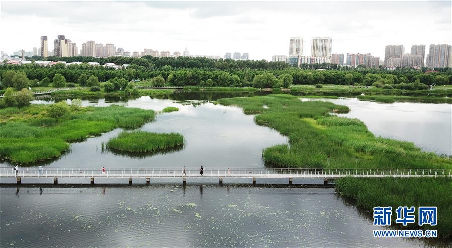 (走向我們的小康生活·圖文互動)(1)水清、地綠、空氣新——最北省份黑龍江繪就生態治理新畫卷