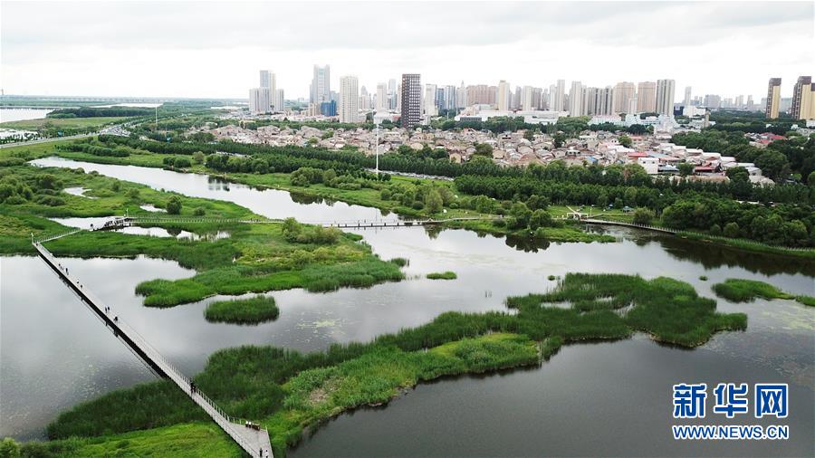(走向我們的小康生活·圖文互動)(2)水清、地綠、空氣新——最北省份黑龍江繪就生態治理新畫卷