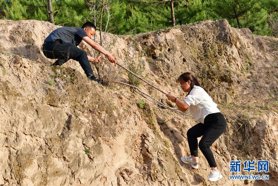 (新華全媒頭條·圖文互動)(5)黃土地上向陽花開——來自山西深度貧困地區的脫貧故事