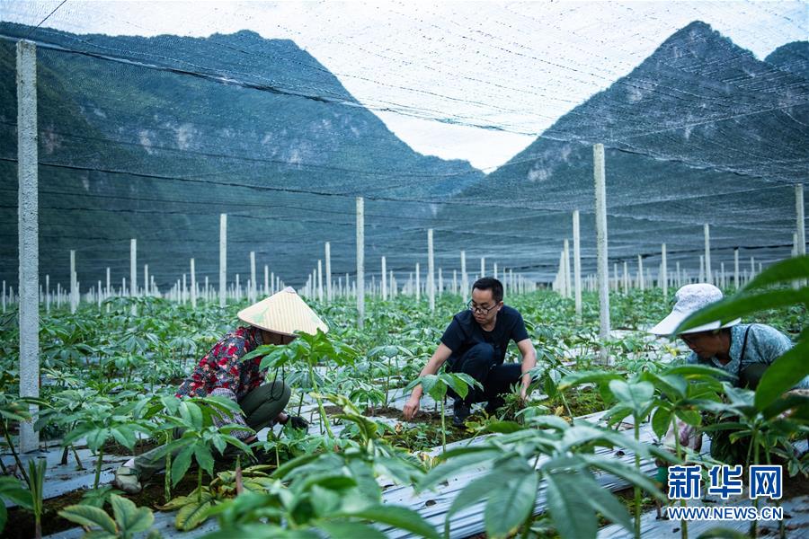 (新華全媒頭條·決戰決勝脫貧攻堅·督戰未摘帽貧困縣·圖文互動)(10)把“最能打的人”放在最需要的地方——聚焦貴州未脫貧縣里的“助攻干部”